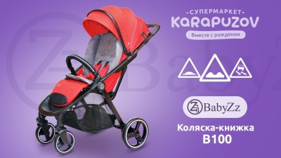 Коляска Babyzz B100 для любого сезона