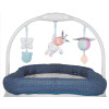 Ліжечко-стільчик Chicco Baby Hug 4 в 1 Limited Edition (79173.00)
