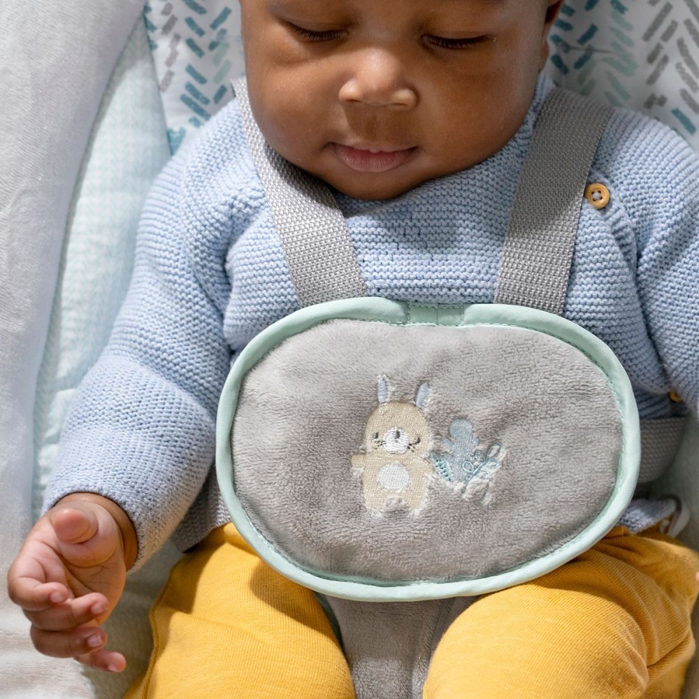 Ingenuity AnyWay - кресло-качалка с режимом вибрации и звуковыми эффектами для детей от рождения и до 9 кг • Sway-Spruce (12058)