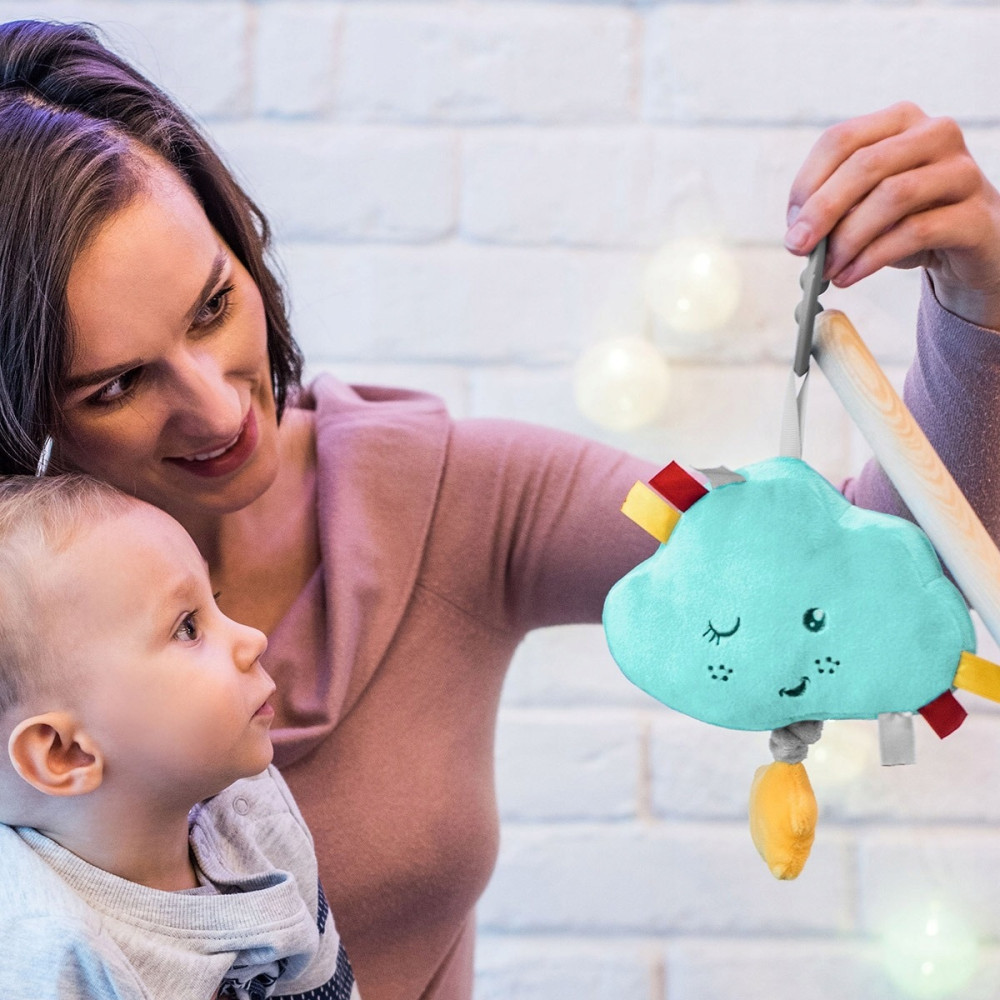 Музыкальная игрушка-подвеска BabyOno  Моя тучка (616)