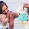 Музыкальная игрушка-подвеска BabyOno  Моя тучка (616)