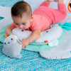 Развивающий коврик Bright Starts Tummy Time Prop&Play (10841)