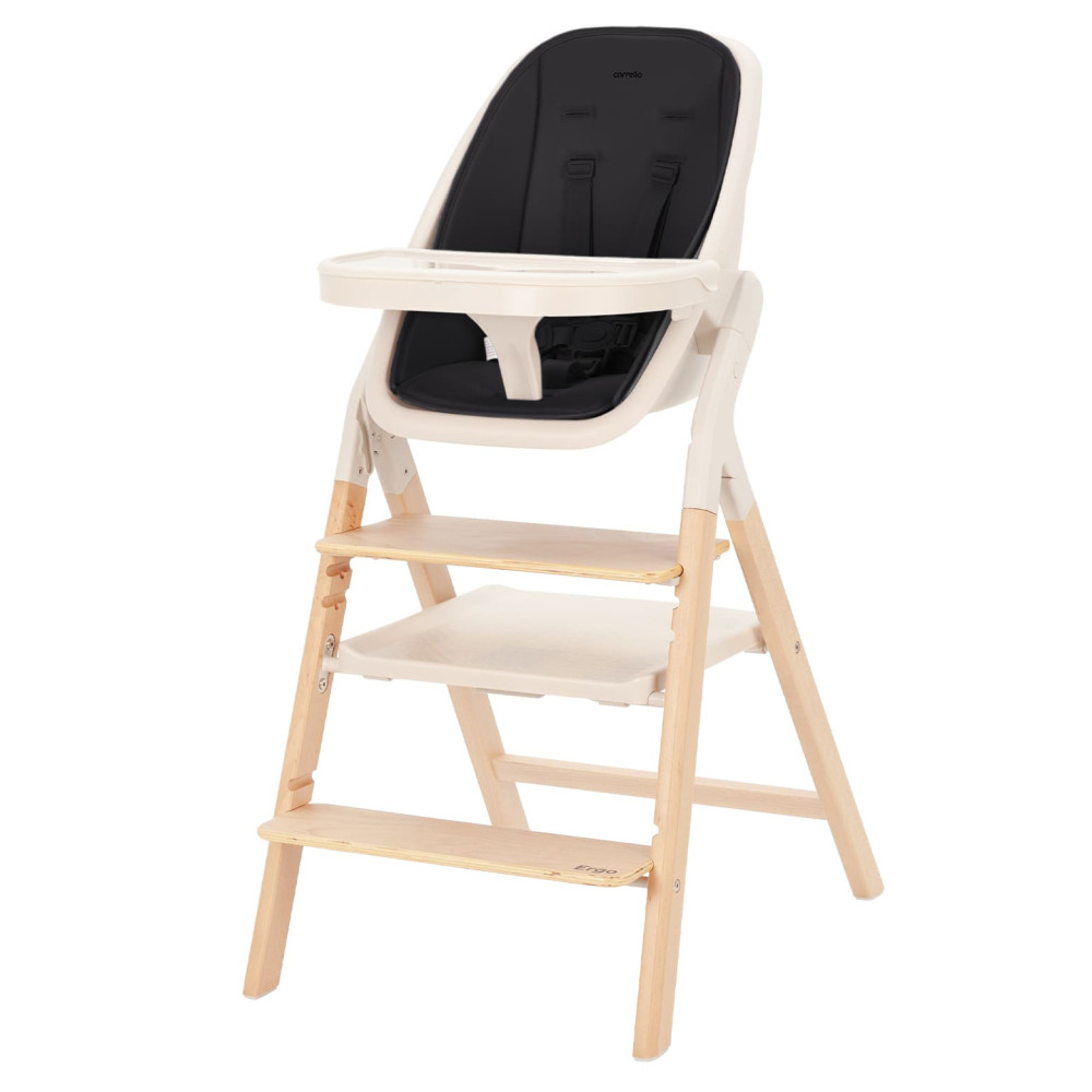 Carrello Ergo CRL-16701 - стільчик для годування, шезлонг для немовля, навчальна вежа до 75 кг, дитячий стільчик (дуга з м’якими іграшками, регульована підніжка) • Obsidian Black