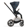 Cybex Priam/e-Priam 4 Seat Pack - комплект тканин для прогулянкового блоку • Jewels of Nature