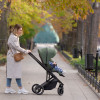 Carrello Alfa 2023 CRL-5508 - прогулочная коляска с реверсивным блоком (сиденье устанавливается лицом к маме), регулируется высота капюшона • Sea Green