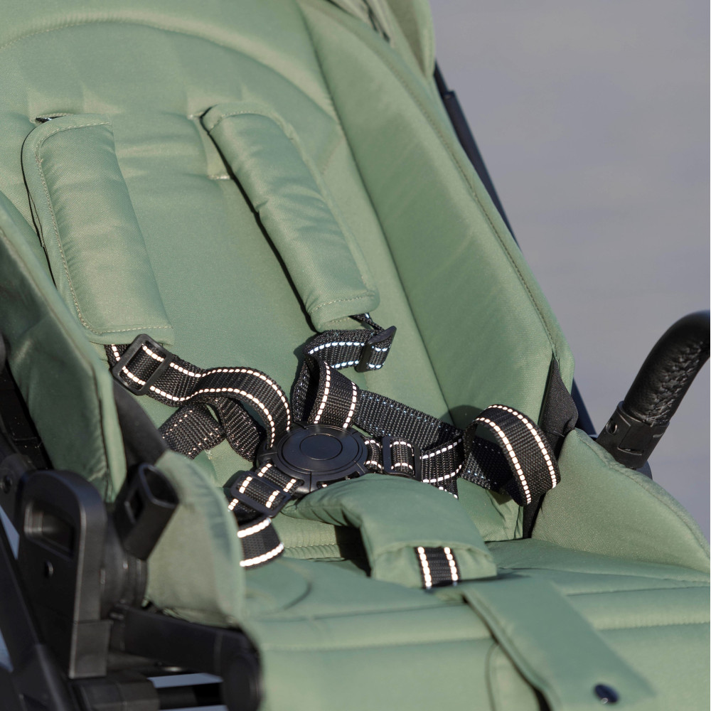 Carrello Alfa 2023 CRL-5508 - прогулочная коляска с реверсивным блоком (сиденье устанавливается лицом к маме), регулируется высота капюшона • Sea Green