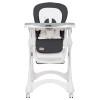 Carrello Caramel CRL-9501/3 - стульчик для кормления на колесиках (мягкий матрасик, корзина для игрушек) • Palette Grey