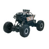 Sulong Toys OFF-ROAD CRAWLER SUPER SPEED - автомобіль на радіокеруванні • Матовий коричневий (SL-112RHMB)