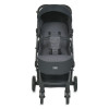 Прогулянкова коляска El Camino Lyra ME 1099 Grey