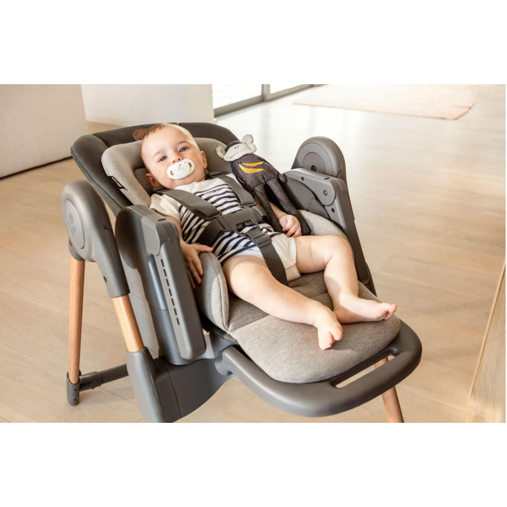 Стільчик для годування Maxi-Cosi Minla Essential Graphite