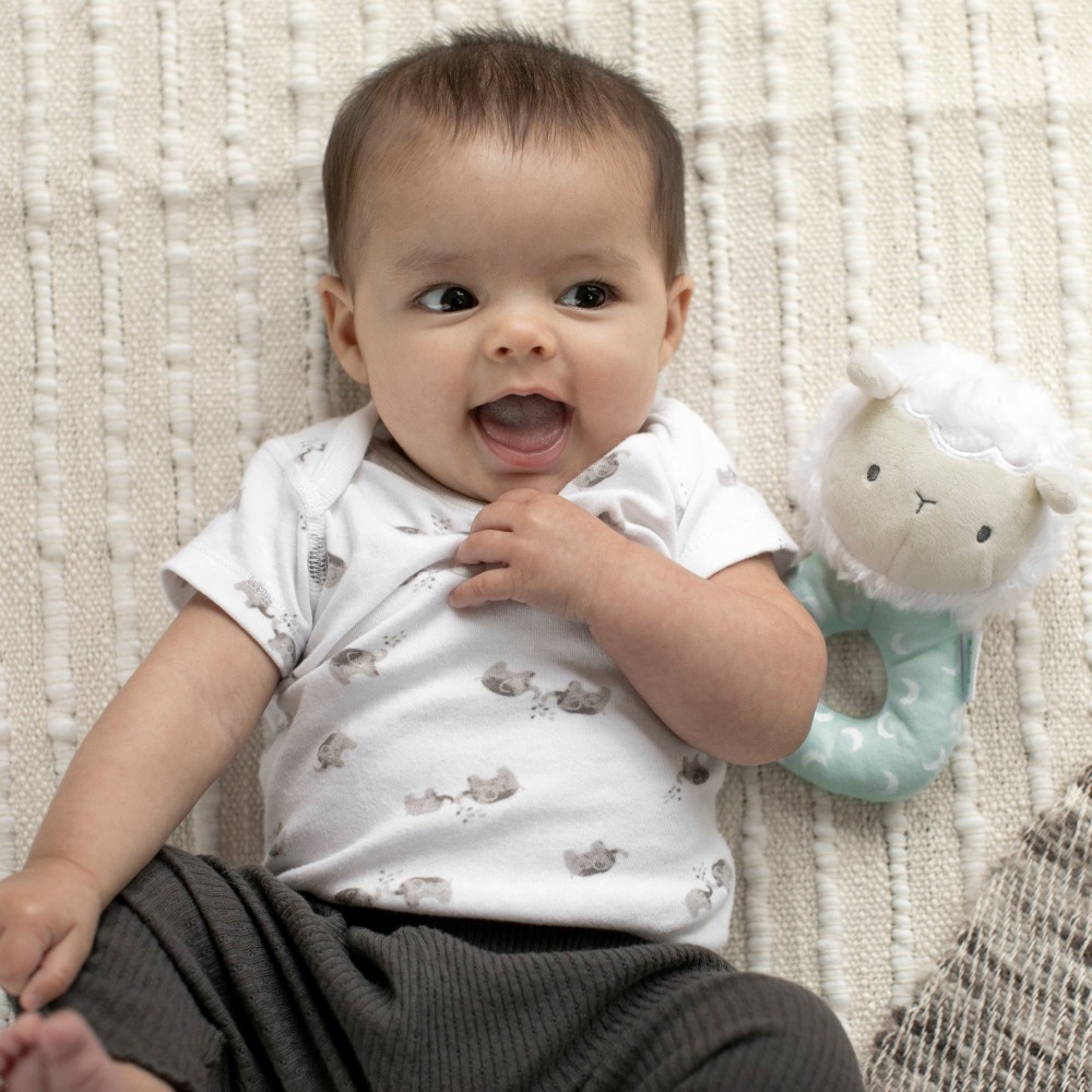 Брязкальце Ingenuity Sheppy (12373)