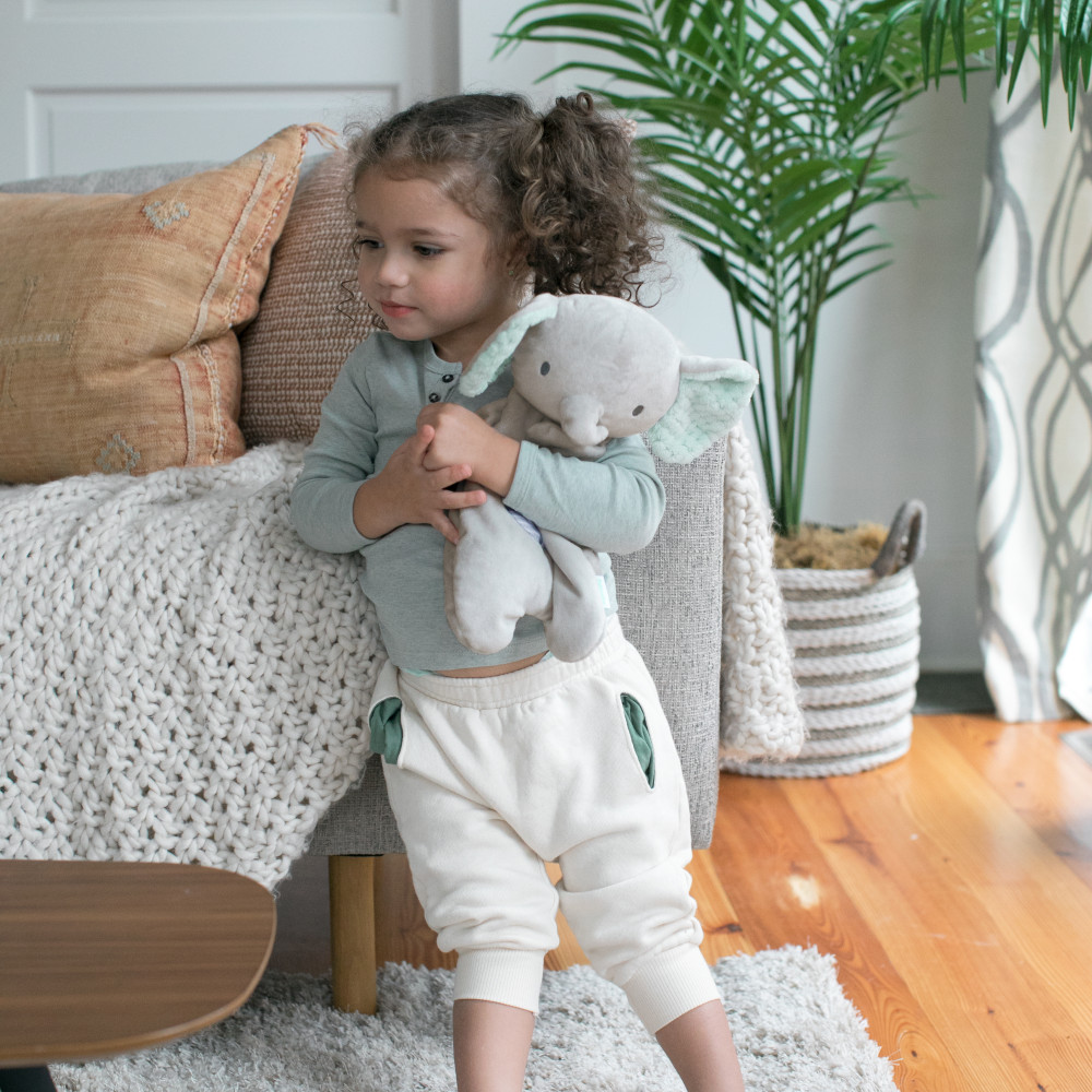 М'яка іграшка Ingenuity Van Bean Bag Lovey (12380)