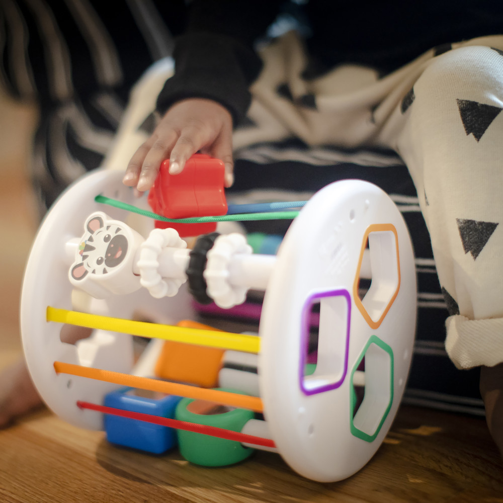 Игрушка-сортер Baby Einstein Zen & Cal’s Playground (12493) Игрушка-сортер Baby Einstein Zen & Cal’s Playground (12493)