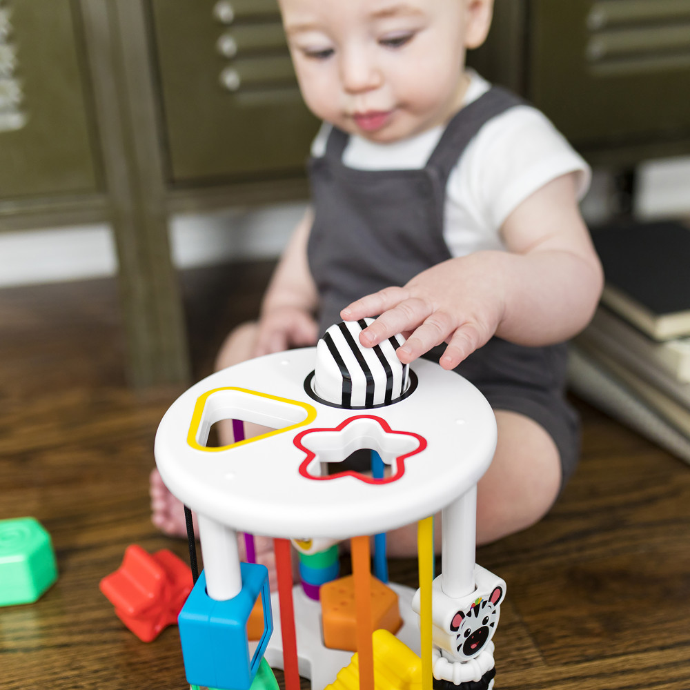 Игрушка-сортер Baby Einstein Zen & Cal’s Playground (12493) Игрушка-сортер Baby Einstein Zen & Cal’s Playground (12493)