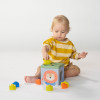 Развивающий сортер-пирамидка Taf Toys Кубики Африка (12725)