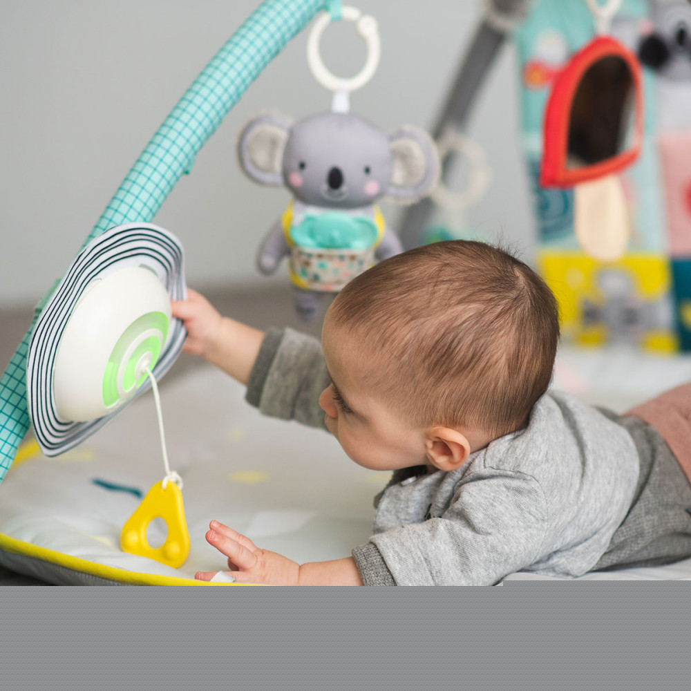 Розвиваючий килимок з дугами Taf Toys Світ навколо (12435)