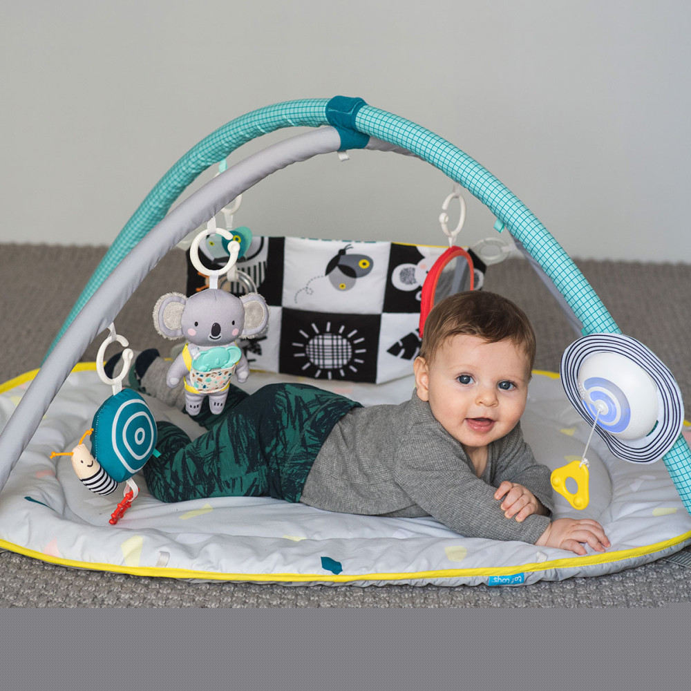 Розвиваючий килимок з дугами Taf Toys Світ навколо (12435)
