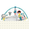 Розвиваючий килимок з дугами Taf Toys Світ навколо (12435)
