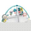 Розвиваючий килимок з дугами Taf Toys Світ навколо (12435)