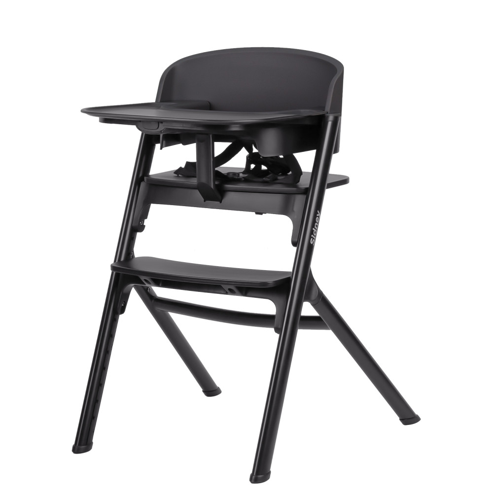 Carrello Sidney CRL-8405 - стільчик для годування від 6 місяців, дитячий стільчик до 110 кг • Space Black
