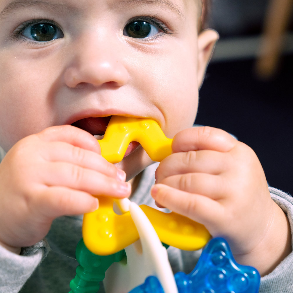 Прорезыватель для зубов Baby Einstein Sea of Sensory (13158)