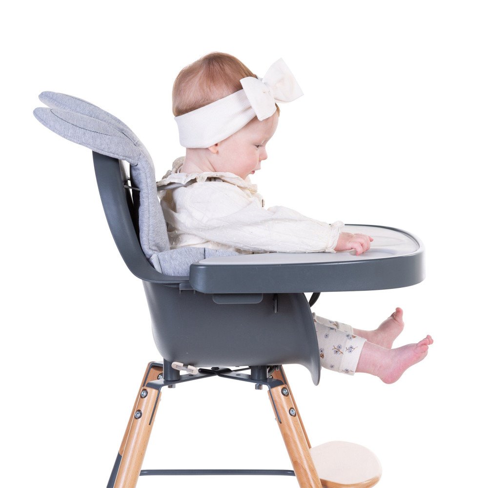 Столик до стільця для годування Childhome Evolu з силіконовим підносом, anthracite (CHEVOTSAA)