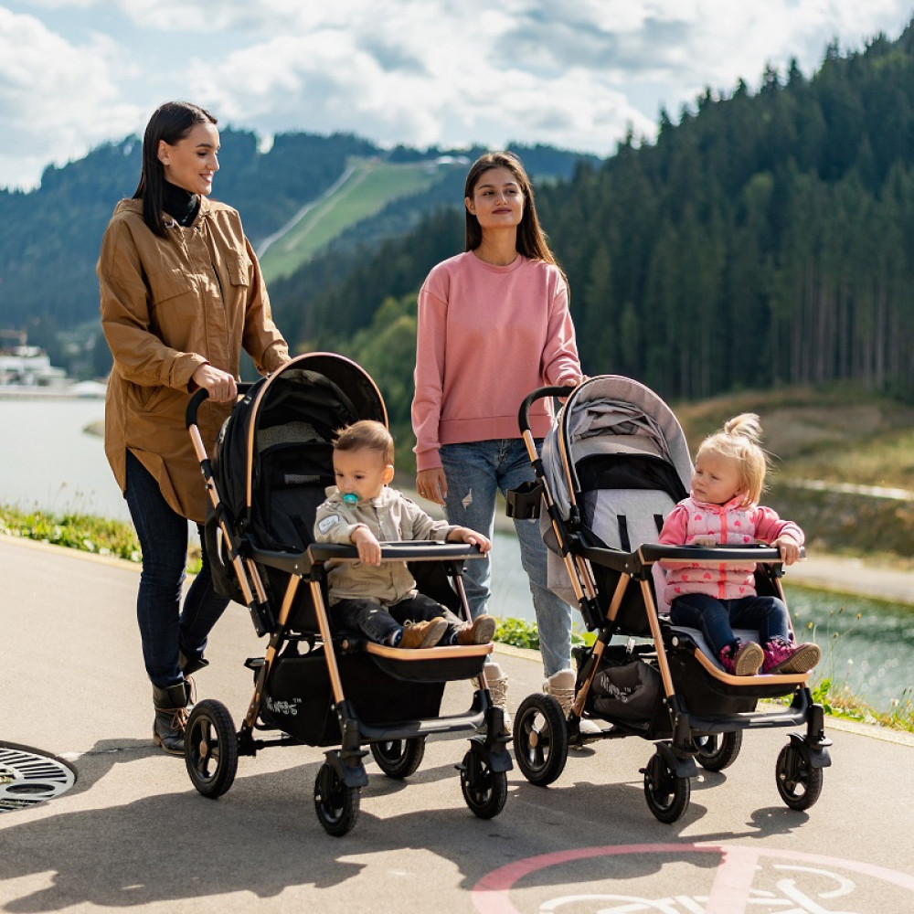Прогулочная коляска Ninos Maxi Grey (NM2019MG) Прогулочная коляска Ninos Maxi Grey (NM2019MG)