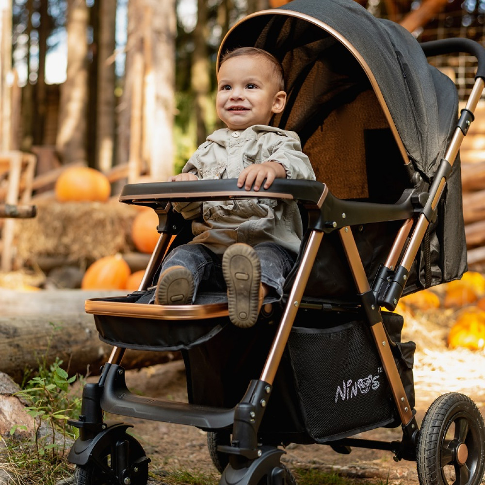 Прогулочная коляска Ninos Maxi Light Grey (NM2020LG) Прогулочная коляска Ninos Maxi Light Grey (NM2020LG)