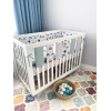 Постільний комплект Baby Veres Easy collection Kitty boy 6 предметів (222.04)