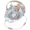 Ingenuity Cozy Spot - шезлонг для новонароджених з режимом вібрації та звуковими ефектами • Bear (13104)