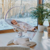 Lionelo Iris - шезлонг-качель для новорожденных, поворот на 360 градусов • Beige Sand