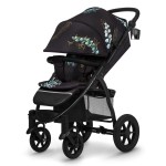 Прогулянкова коляска Lionelo Annet Tour Golden Moments