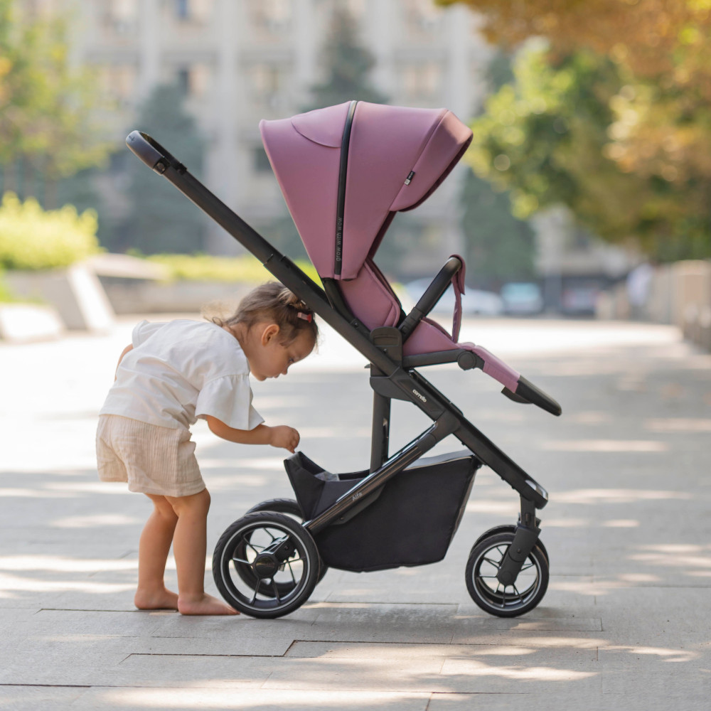 Прогулянкова коляска з реверсивним блоком Carrello Alfa Midnight