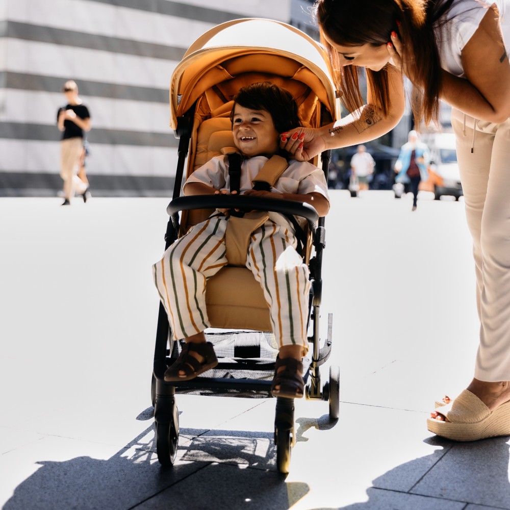  ABC Design Ping 2 - прогулочная коляска для путешествий • Carrot