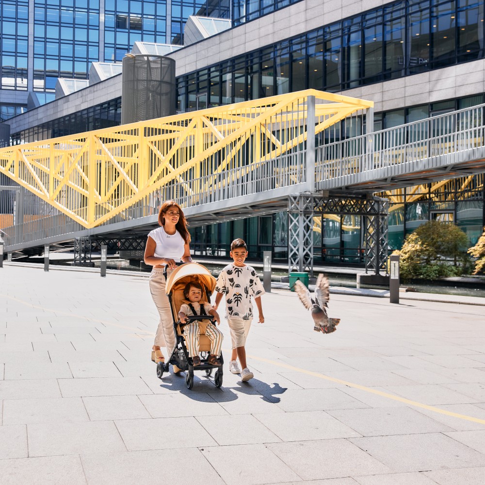  ABC Design Ping 2 - прогулочная коляска для путешествий • Carrot