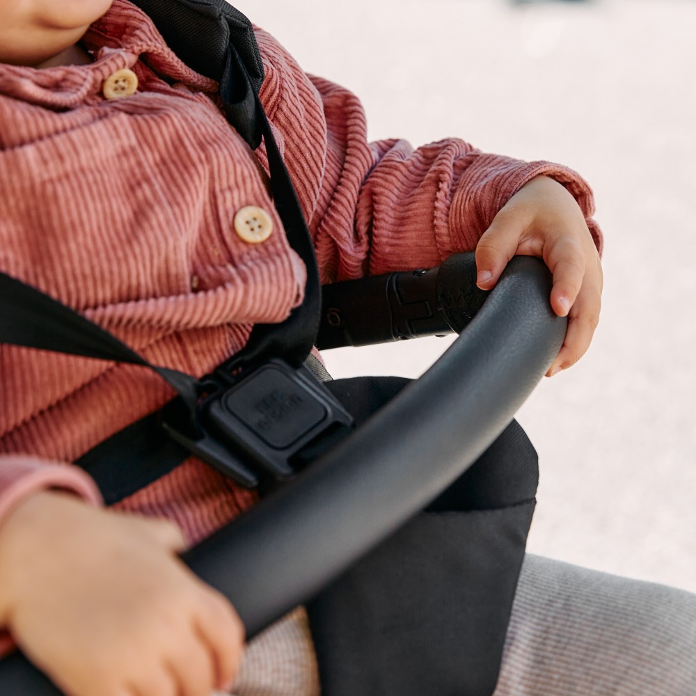  ABC Design Ping 2 - прогулочная коляска для путешествий • Carrot