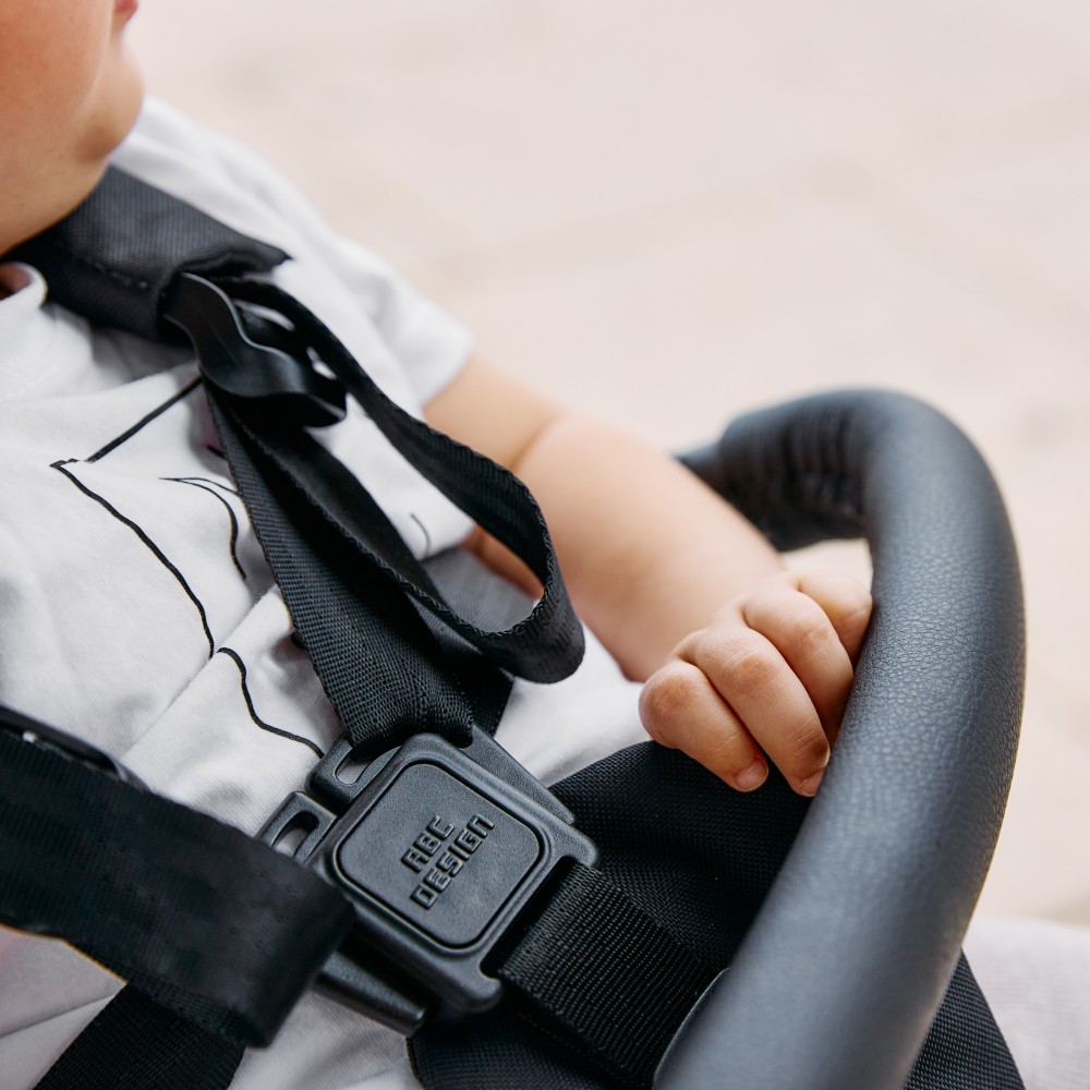  ABC Design Ping 2 - прогулочная коляска для путешествий • Carrot