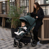 El Camino Fiji ME 1113-2 - всесезонний прогулянковий візок • Black Matt