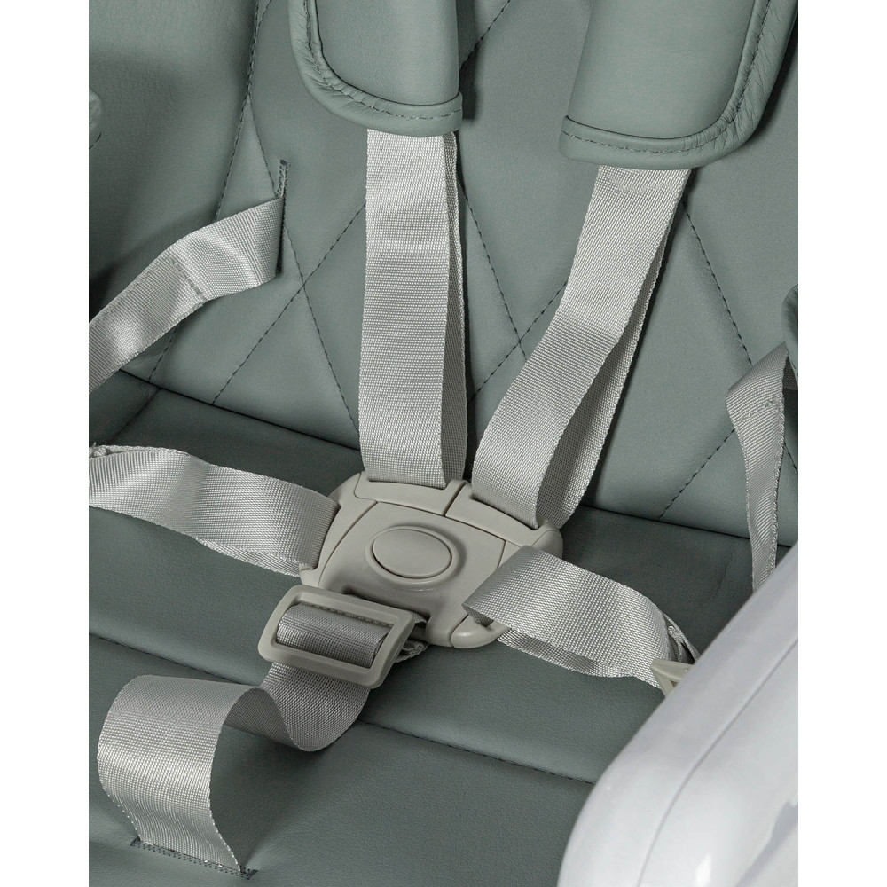 Carrello Select CRL-16301 - дитячий стільчик для годування • Forest Green