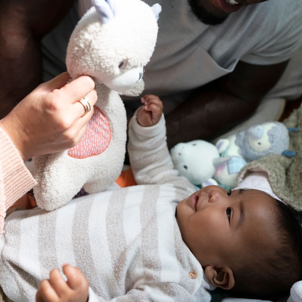 М'яка іграшка Ingenuity Nate (12379)