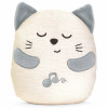 Мягкая музыкальная игрушка Chicco Муркотик с вибрацией (11567.00)