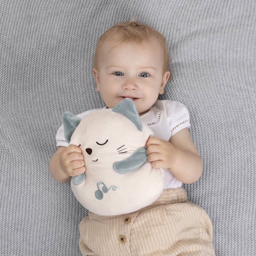 Мягкая музыкальная игрушка Chicco Муркотик с вибрацией (11567.00) Мягкая музыкальная игрушка Chicco Муркотик с вибрацией (11567.00)