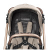 Peg Perego Veloce - дитяча коляска 3 в 1 з автокріслом Primo Viaggio Lounge (від 0 до 15 місяців / 0-13 кг), люлька Culla Belvedere з підставкою • Mon Amour