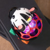 Брязкальце Baby Einstein "Oball. Curious Car Zen"