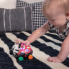 Брязкальце Baby Einstein "Oball. Curious Car Zen"