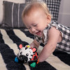 Брязкальце Baby Einstein "Oball. Curious Car Zen"