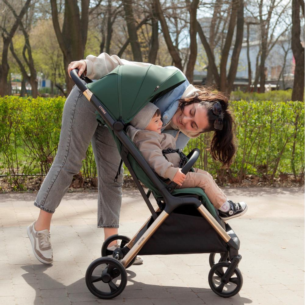 Carrello Cross CRL-5523 - прогулочная коляска с автоматическим складыванием • Eagle Grey Carrello Cross CRL-5523 - прогулочная коляска с автоматическим складыванием • Eagle Grey