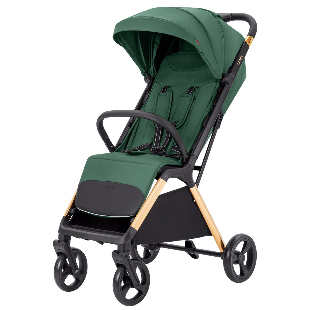 Прогулянкова коляска Carrello Cross Parrot Green купити в інтернет