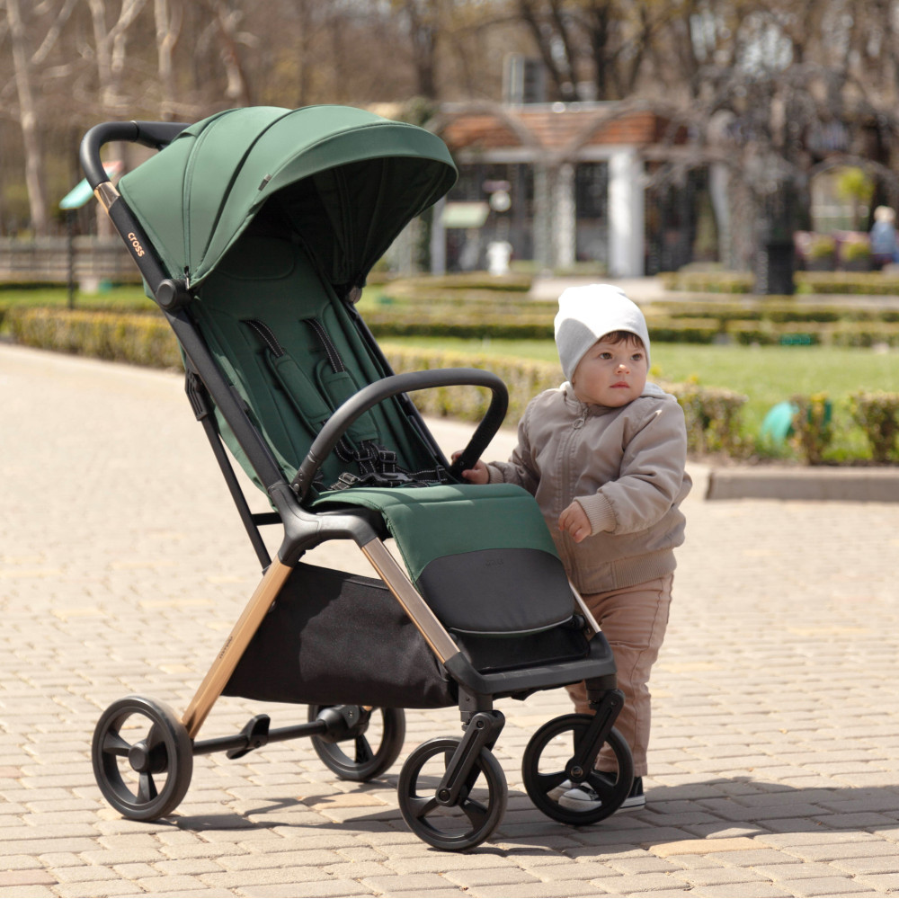 Прогулянкова коляска Carrello Cross Parrot Green купити в інтернет