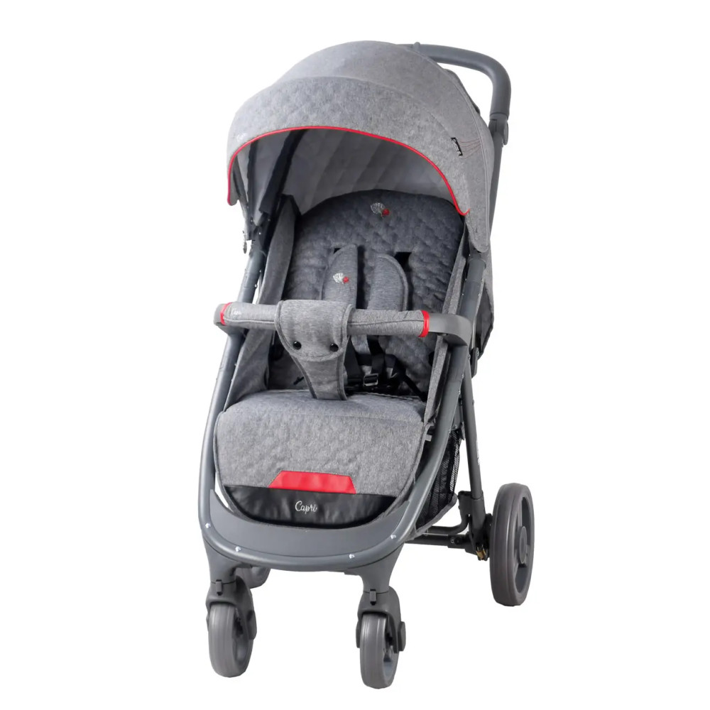 Quatro Capri - прогулочная коляска, регулируемая спинка, большой капюшон, полиуретановые колеса, легко складывается • Grey (14)